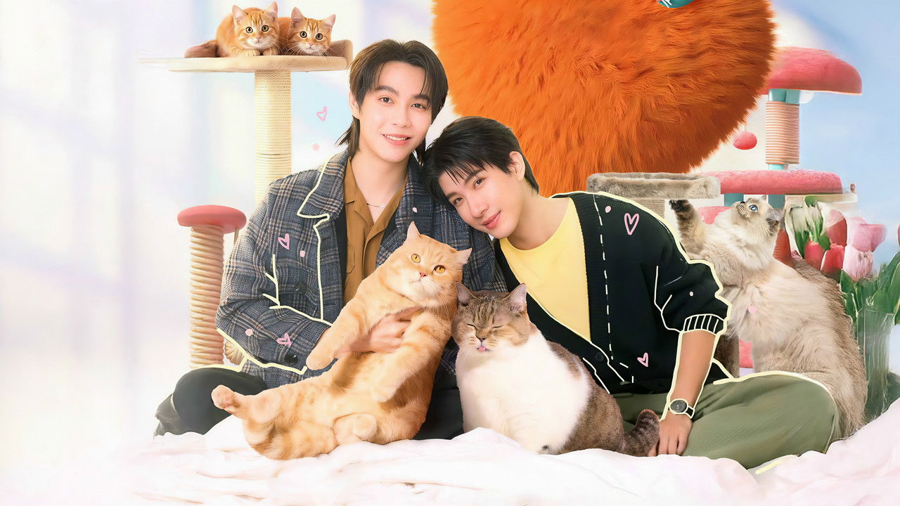 เปย์รักด้วยแมวเลี้ยง รูปที่ 1