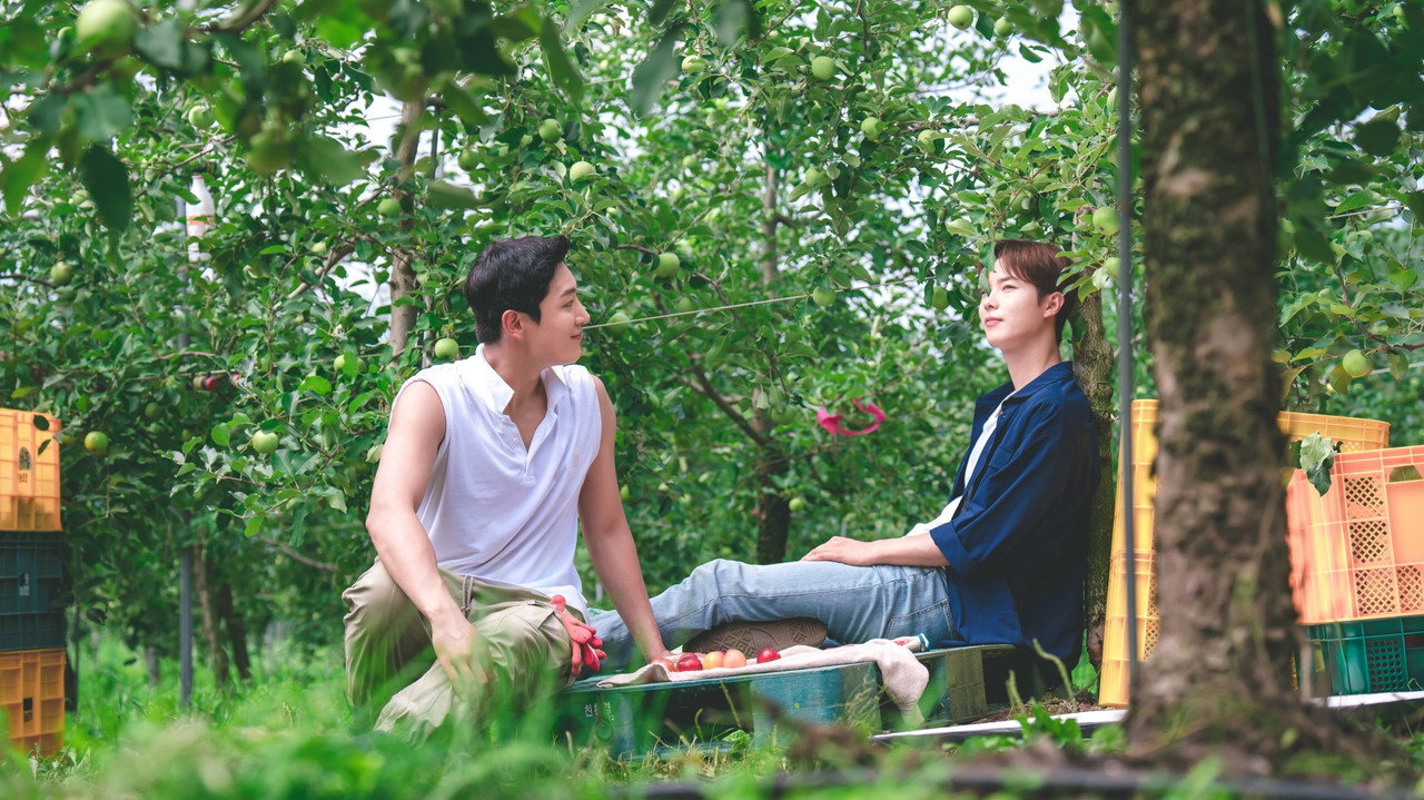 บรรทุกหัวใจใส่แทรกเตอร์ รูปที่ 3